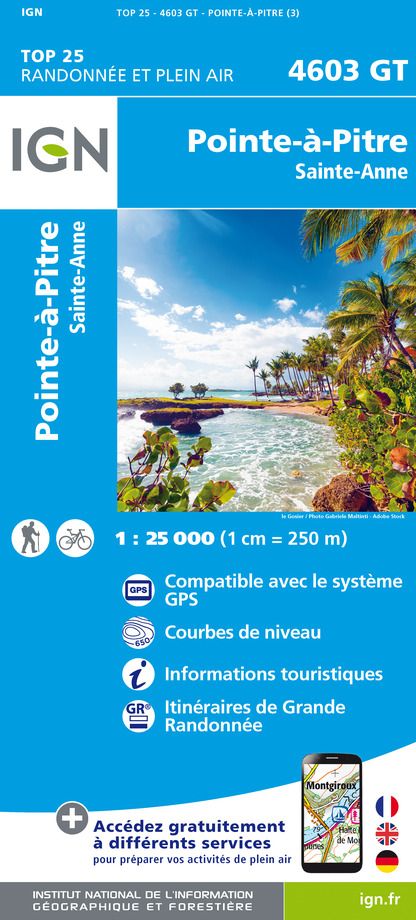 60075 - RELIEF DE LA REUNION RELIEFS & POSTERS - IGN