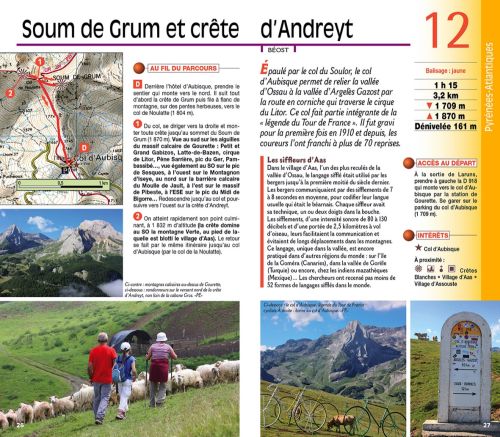 CPA 65 LES PYRENEES RETOUR DES CHAMPS